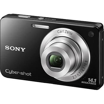 Amazon.com : Sony Cyber-Shot DSC-W560 14.1 MP Digital Still